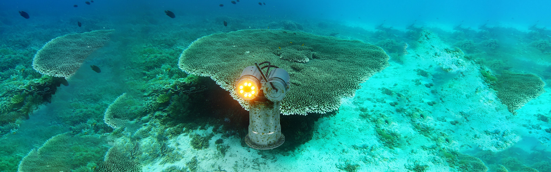 Shenzhen Accumtek Co. ltd